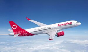 Bilete de Avion Animawings: Top Oferte Vara 2024