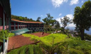 🇵🇹 Vacanță last minute în Madeira la Quinta do Monte: 7 nopți cu mic dejun, zbor și transfer, doar 752 €/pers. 🌿🌺